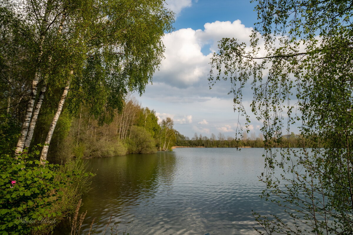 Березовое озеро Кирово-Чепецк