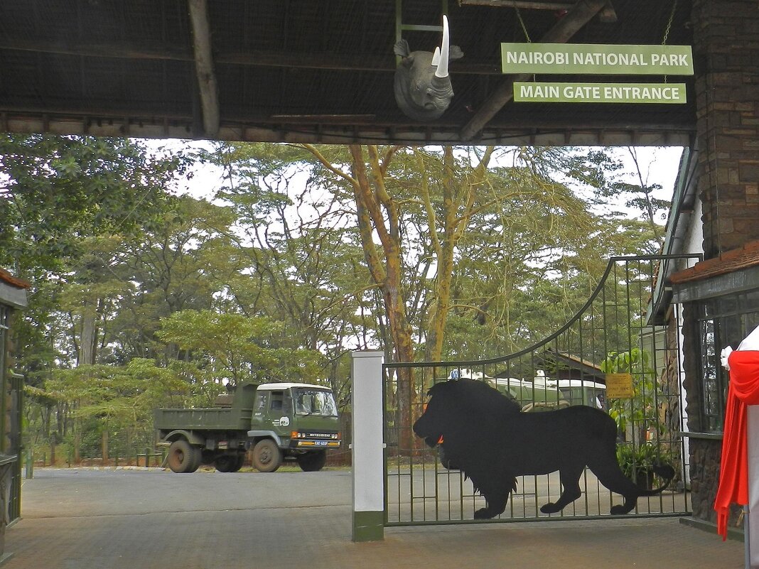 Вход в Национальный парк Найроби - Ольга Довженко