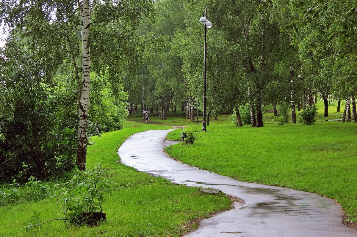 Прогулка под дождём - Евгений Кочуров