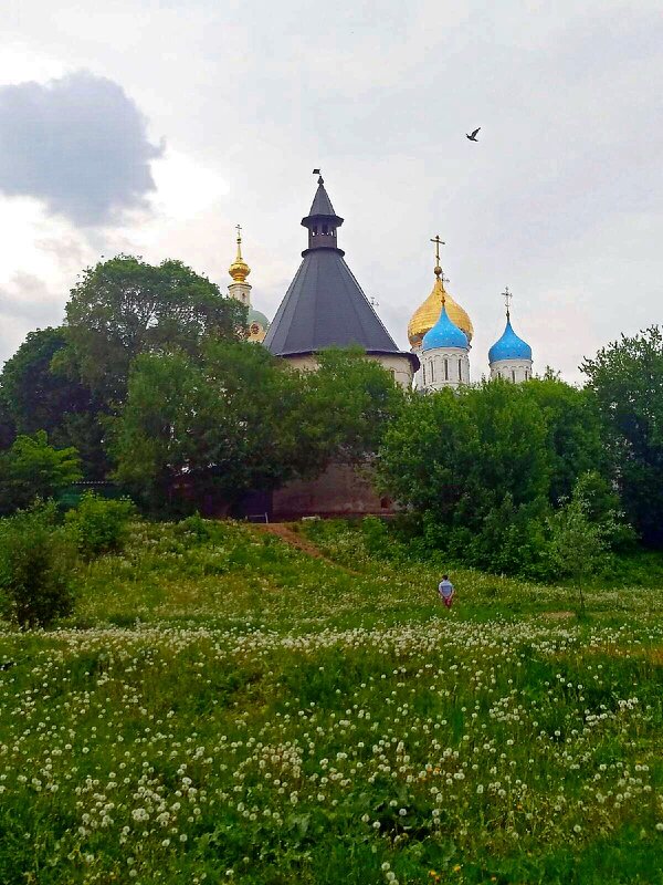 У стен Новоспасского монастыря - ТаБу 