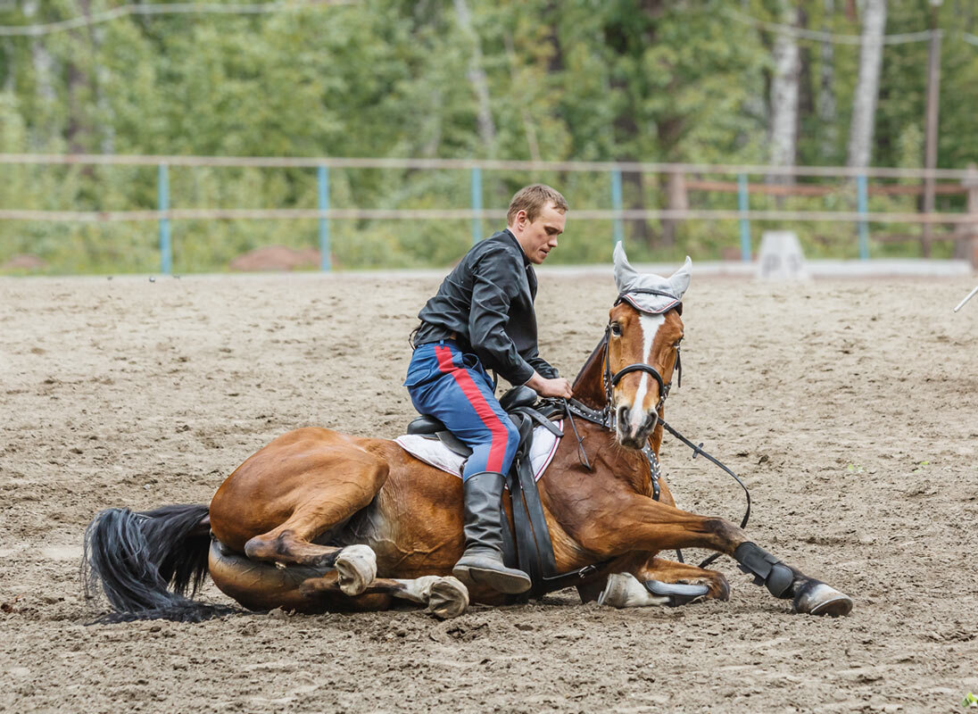 Упражнения с конём - SanSan 