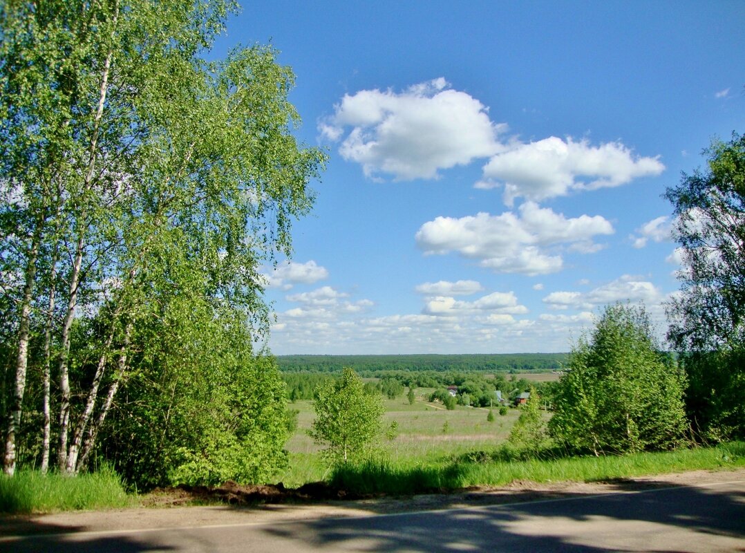 подмосковье в конце мая... - Галина Флора