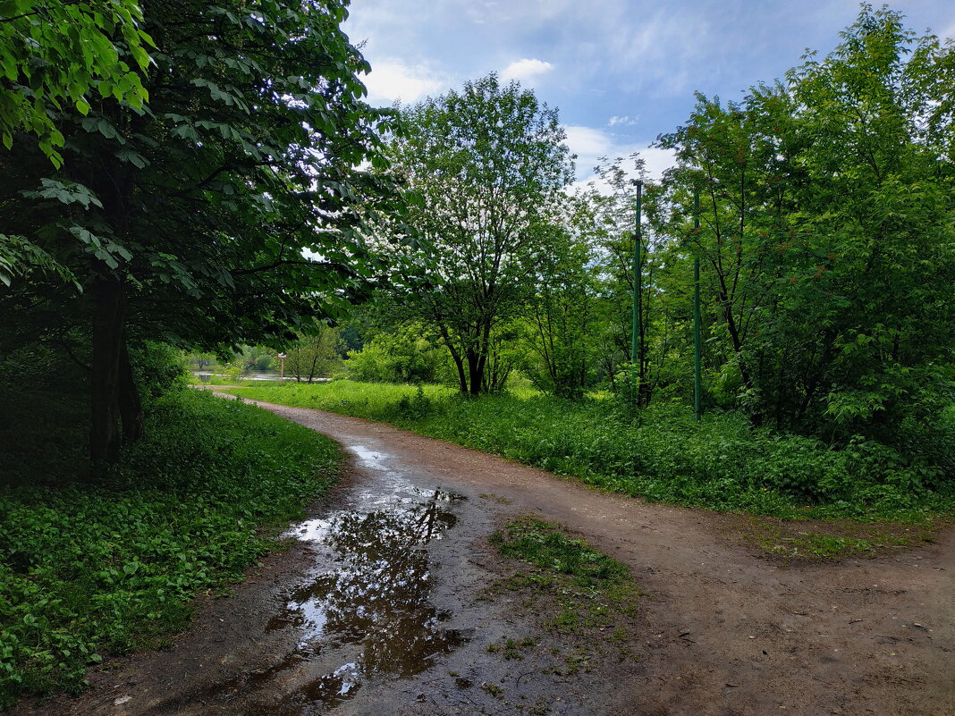 На пруду после дождя и перед дождем - Андрей Лукьянов