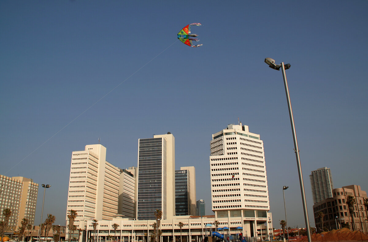 Тель-Авив, 2009 г. - Валерий Готлиб