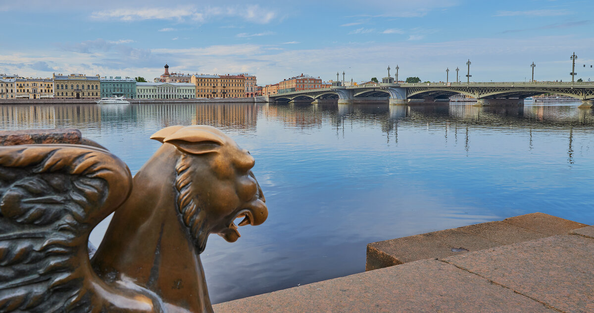 грифон, взирающий на Благовещенский мост Санкт-Петербурга - юрий затонов