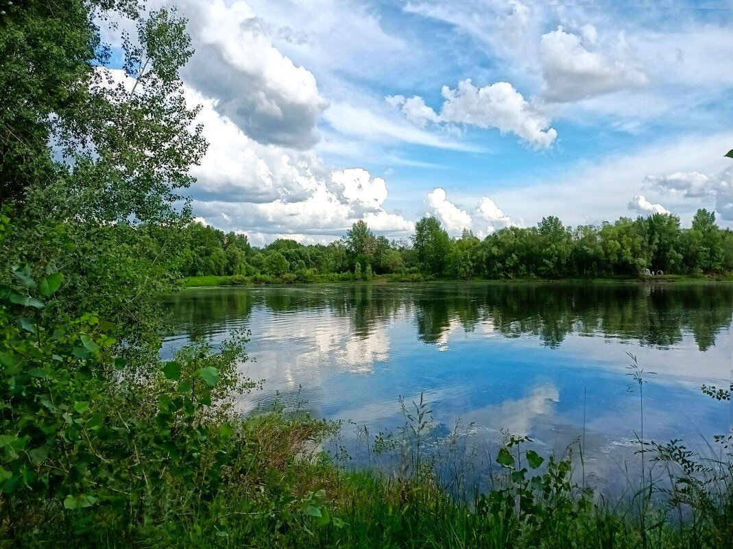 Река Самара - Ольга Зубова