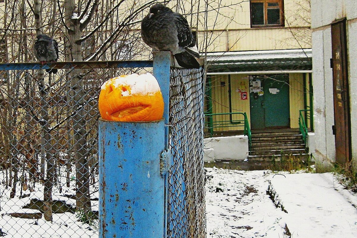 После хеллоуина - Олег Аникиенко