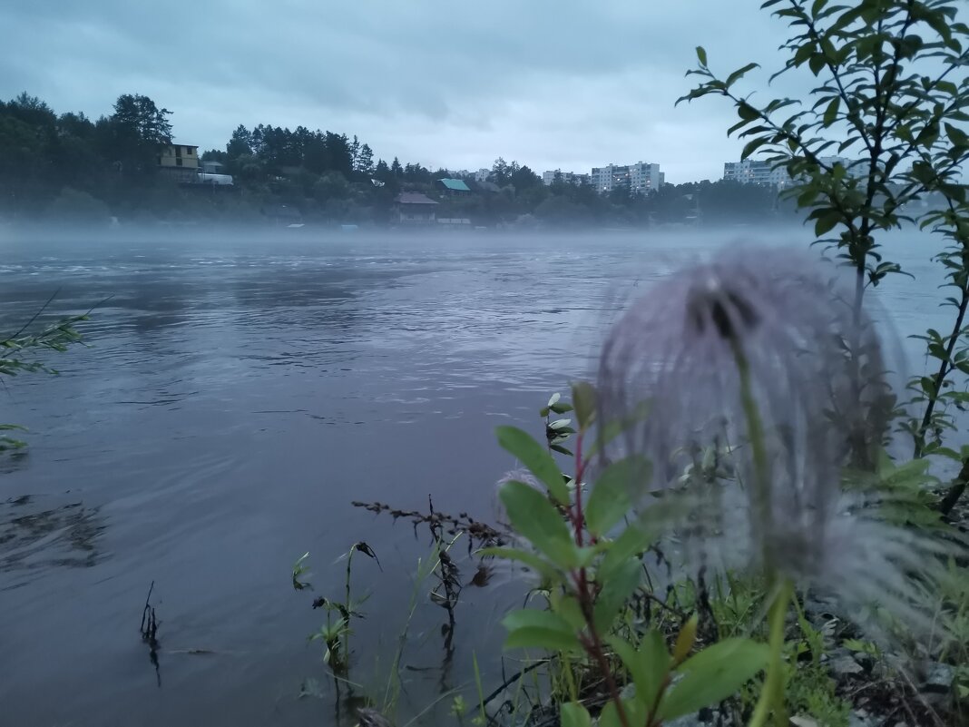 Большая вода - Светлана ***