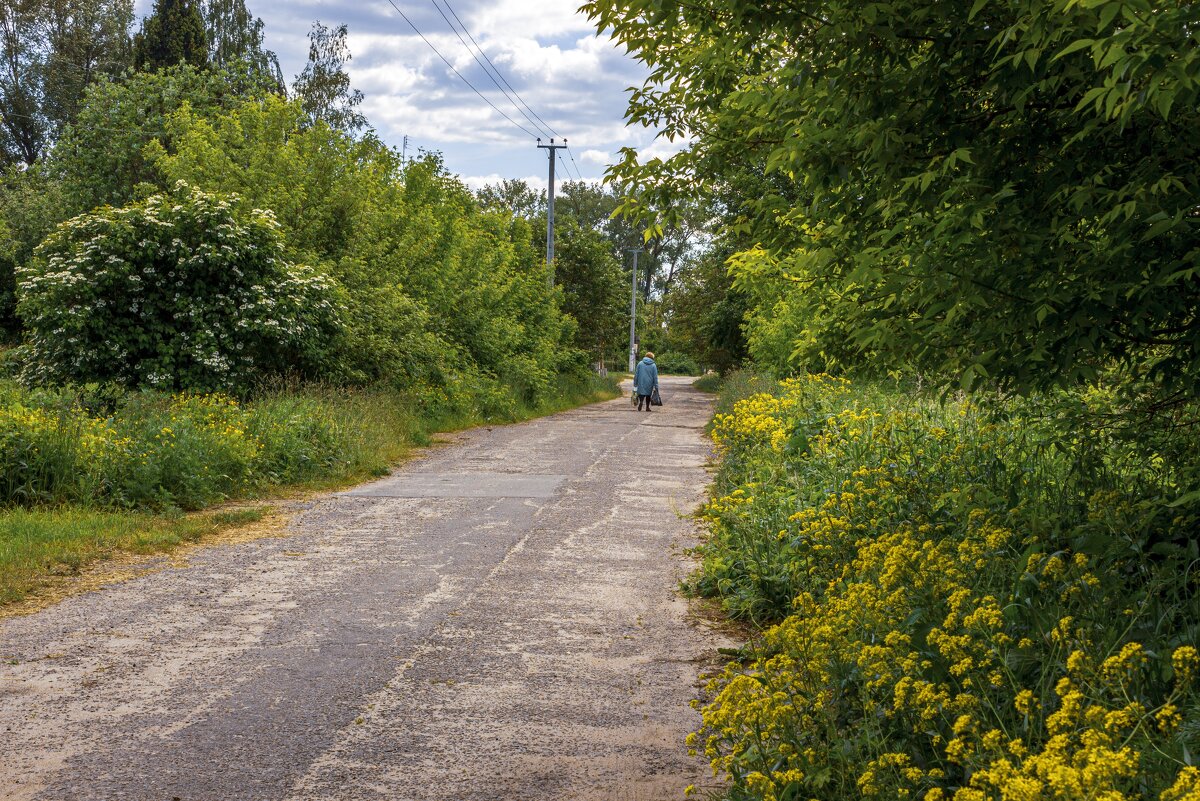 На улочках моего городка - оксана 