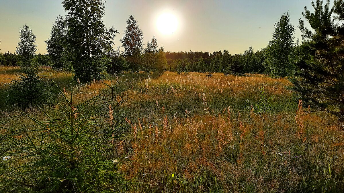 Летний закат - Любовь 