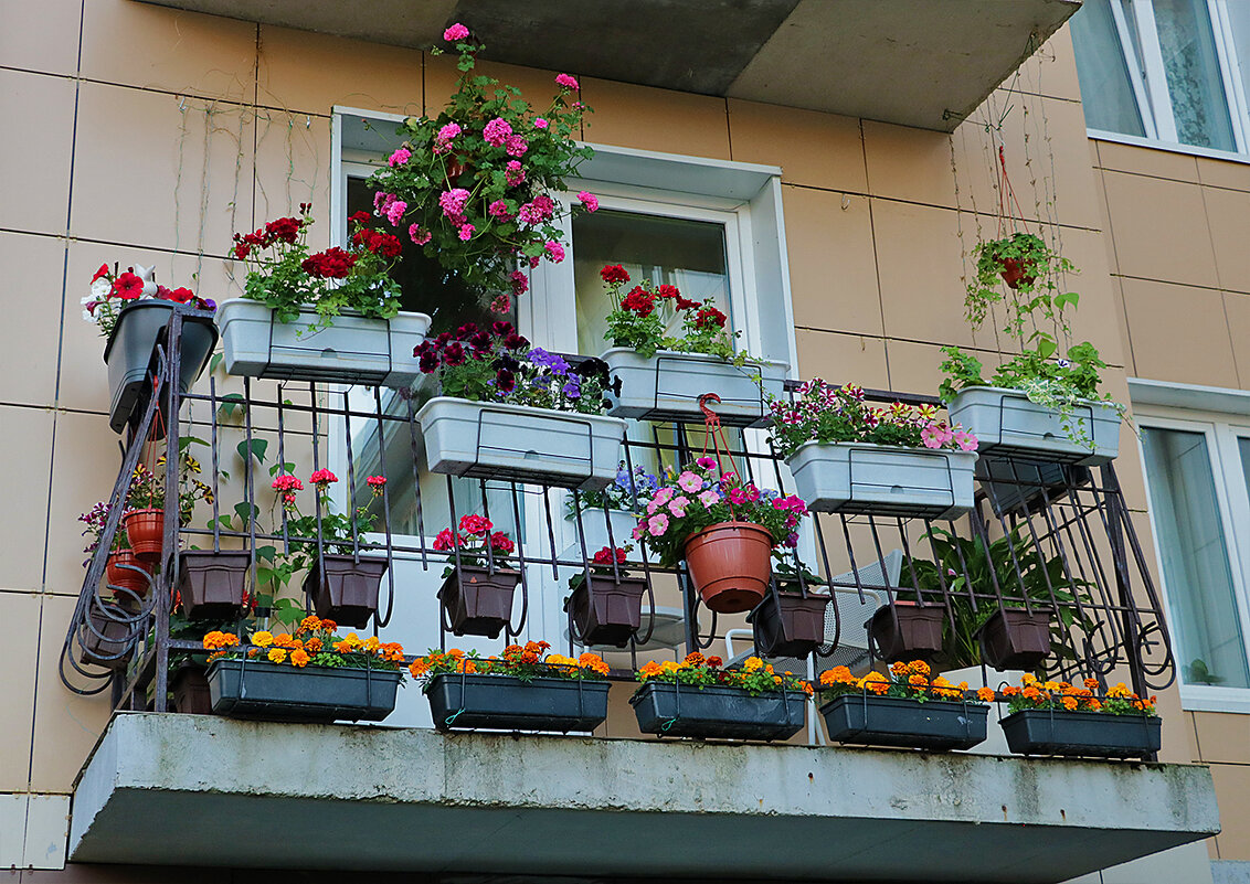 Дизайн балкона - Светлана 