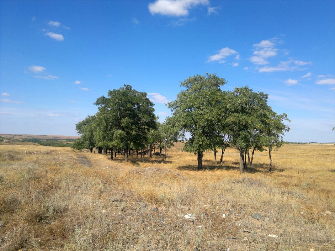 Гуково. Провальская степь в начале осени. - Пётр Чернега