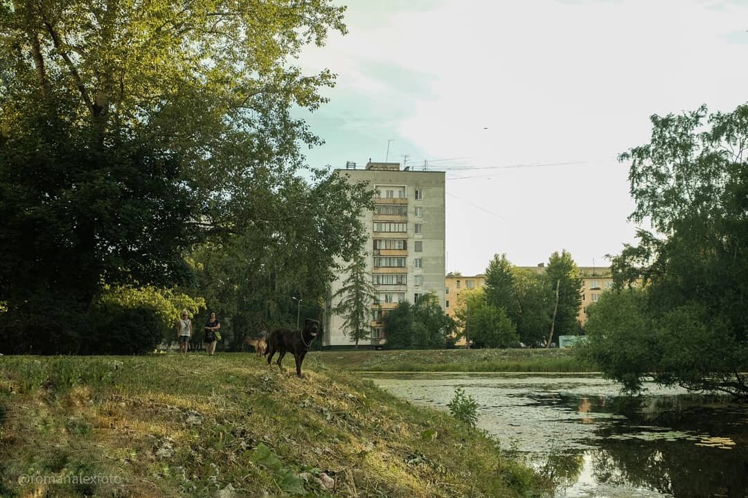 Прогулка вдоль озера Воронцовского сквера - Роман Алексеев