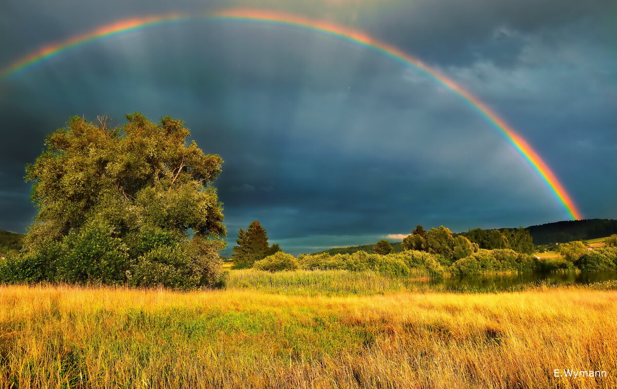 summer with a rainbow - Elena Wymann