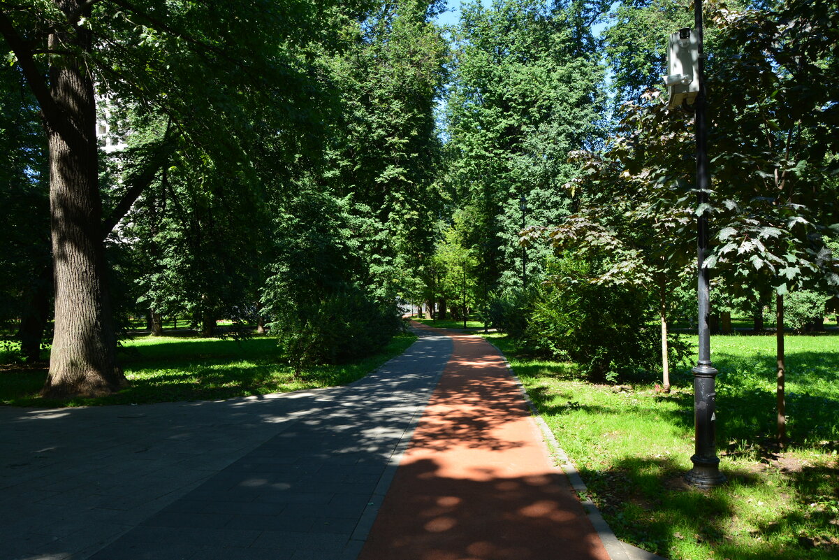 Аллея в парке - Александр Буянов