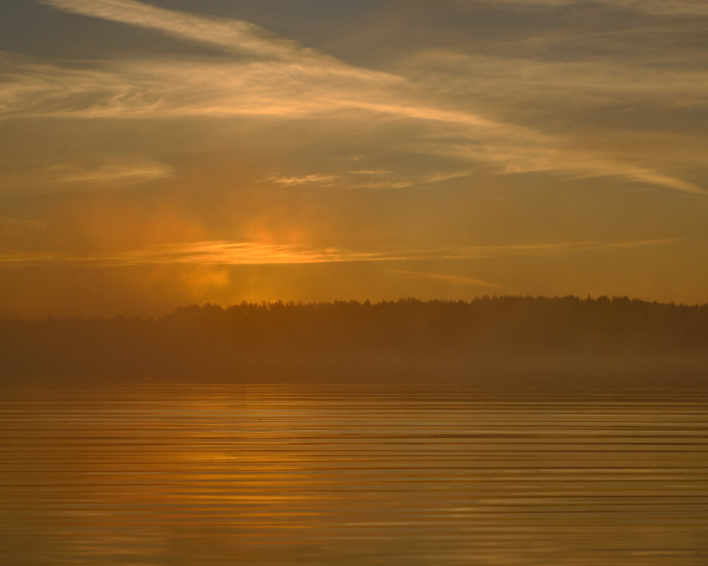 Утренний туман на озере - Михаил *******