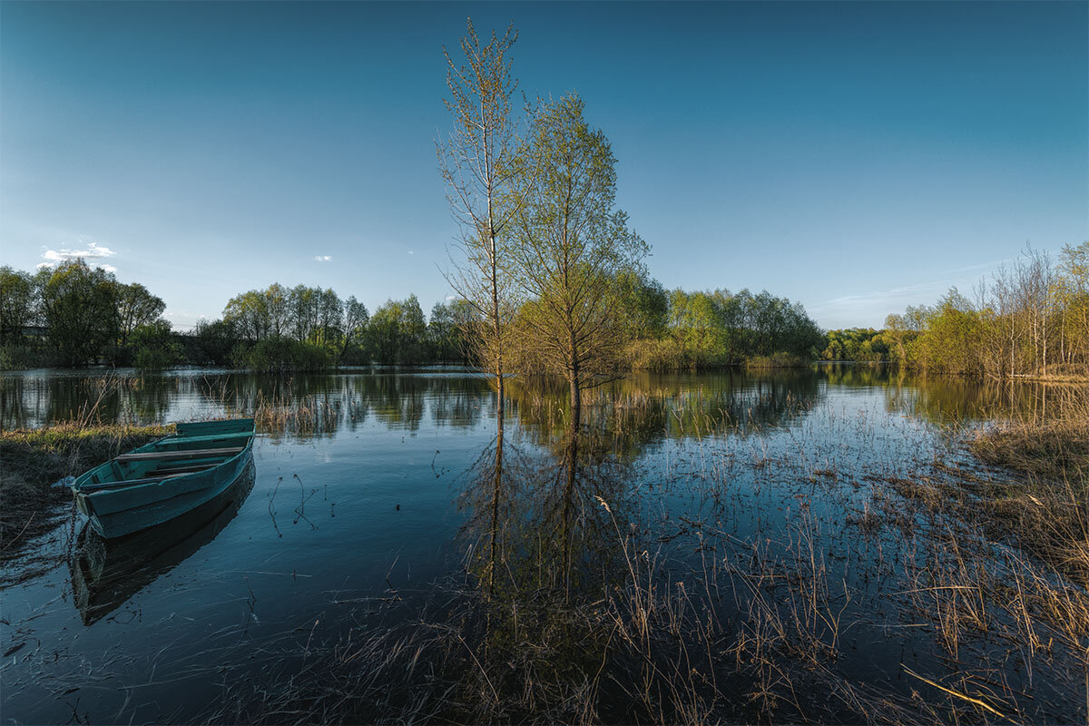 *** - Николай .