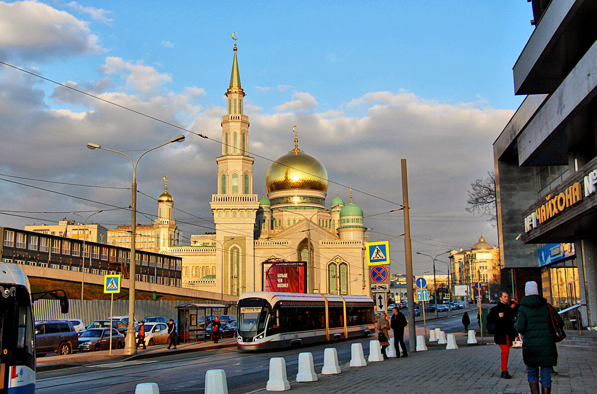 Московская Соборная Мечеть - Nina Karyuk