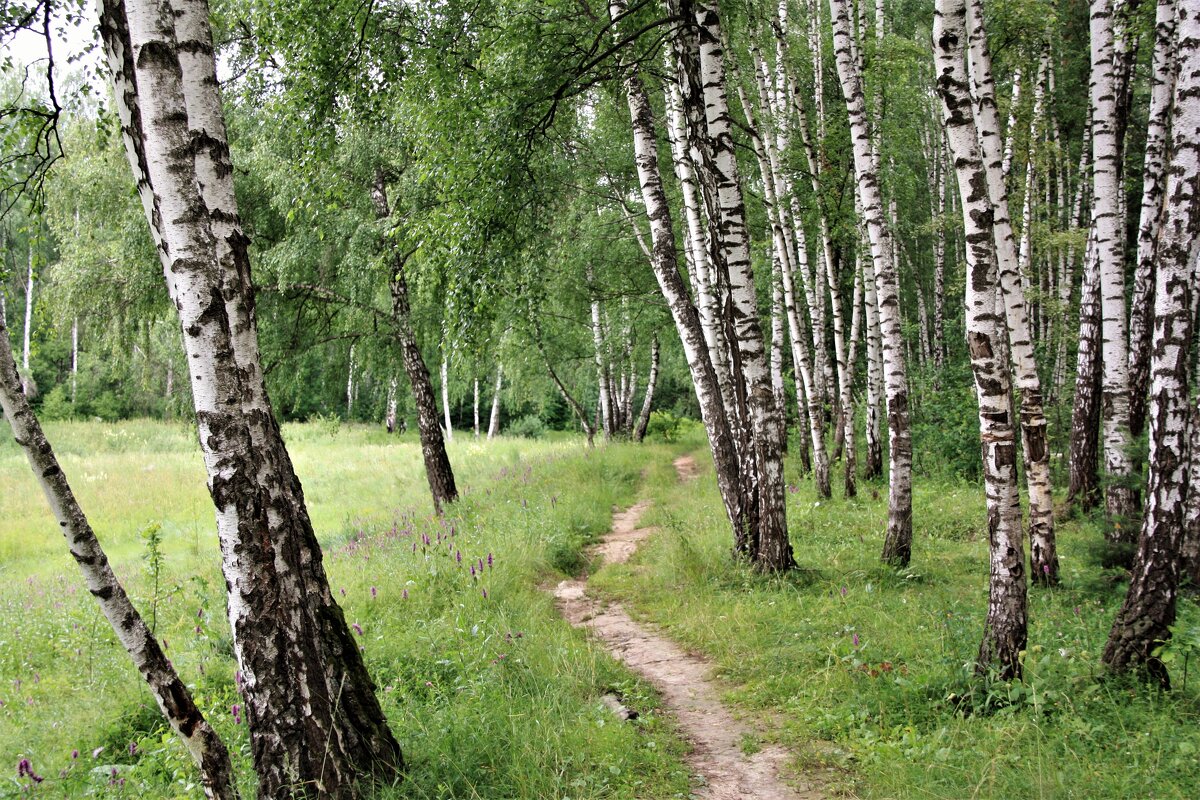 лето - Владимир Холодницкий