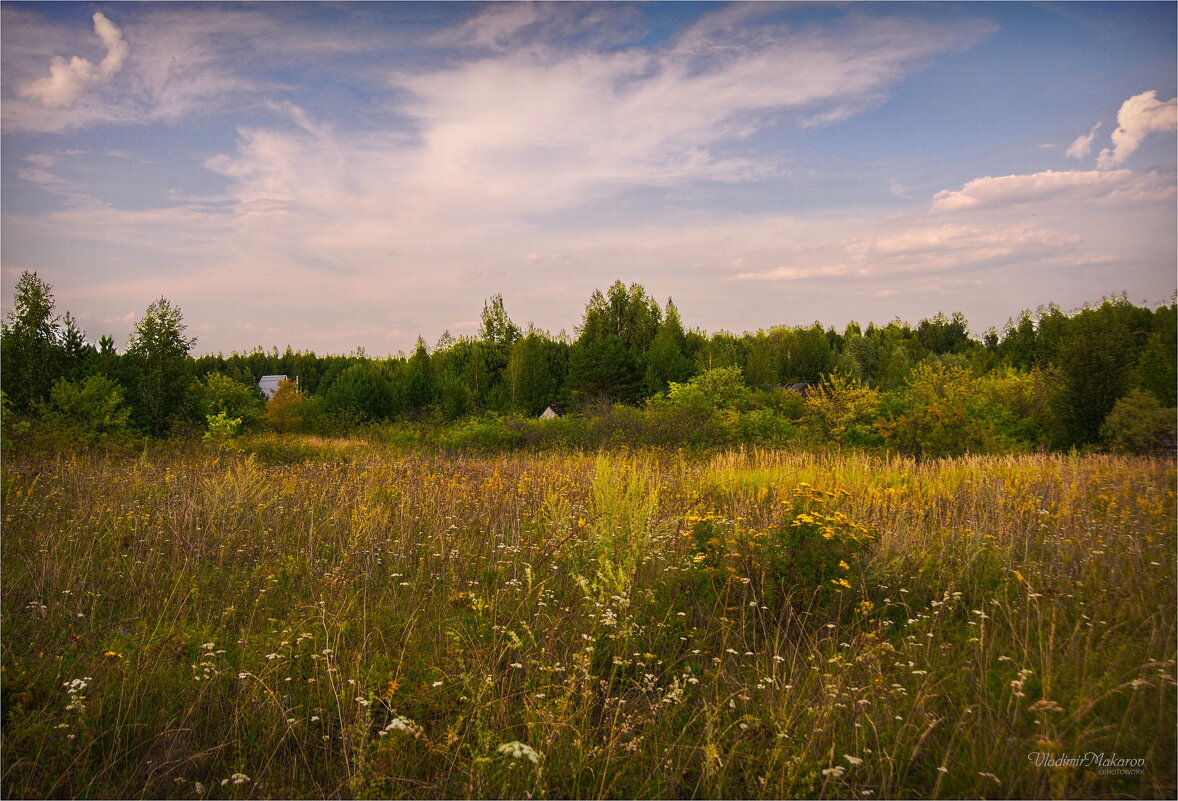 "Небо, травы и лесок"© - Владимир Макаров