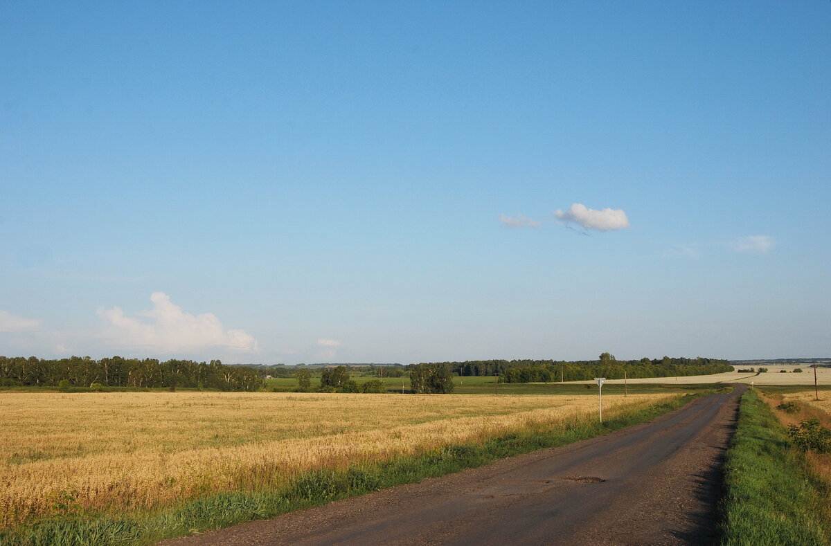 дороги - nataly-teplyakov 