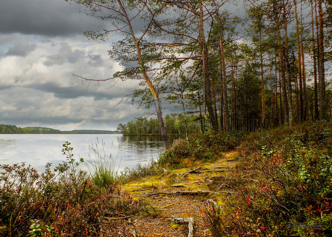 Голубое озеро - Андрей Кротов
