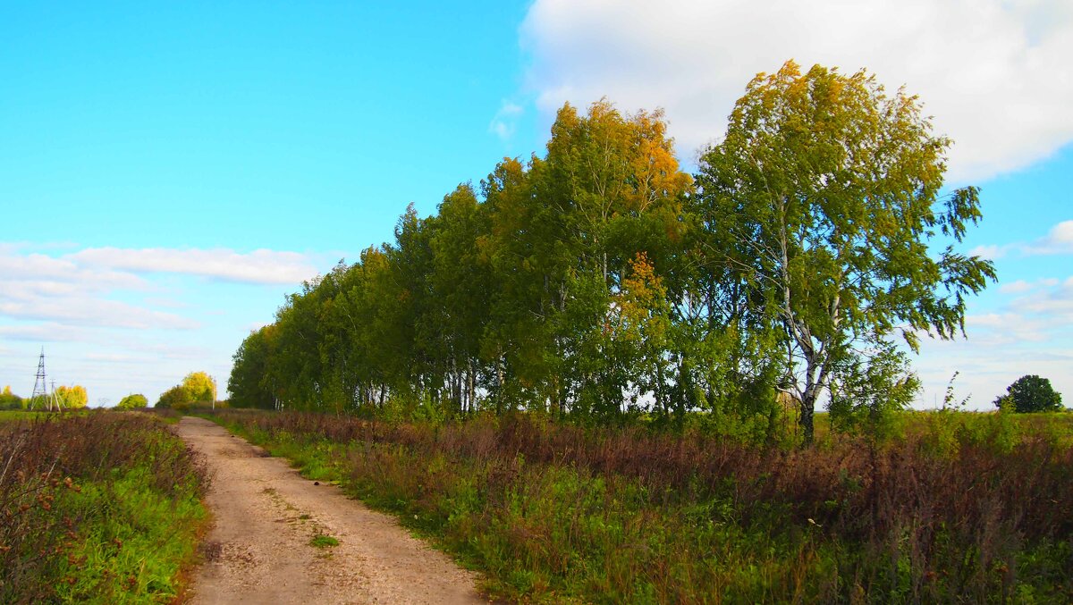 *** - Николай С