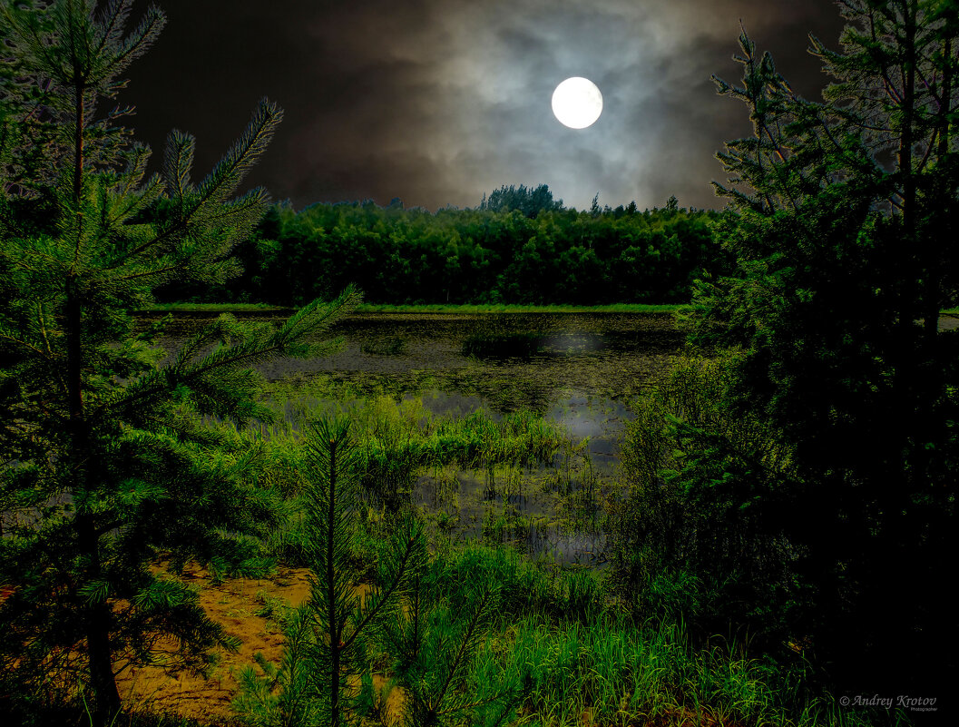 Лунная ночь - Андрей Кротов