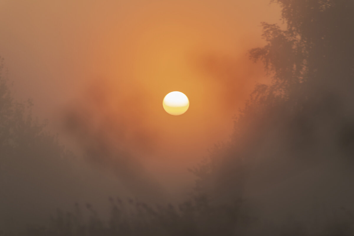 Солнце в тумане - Александр 