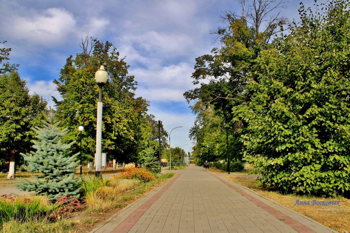 В парке Победы. - Восковых Анна Васильевна 