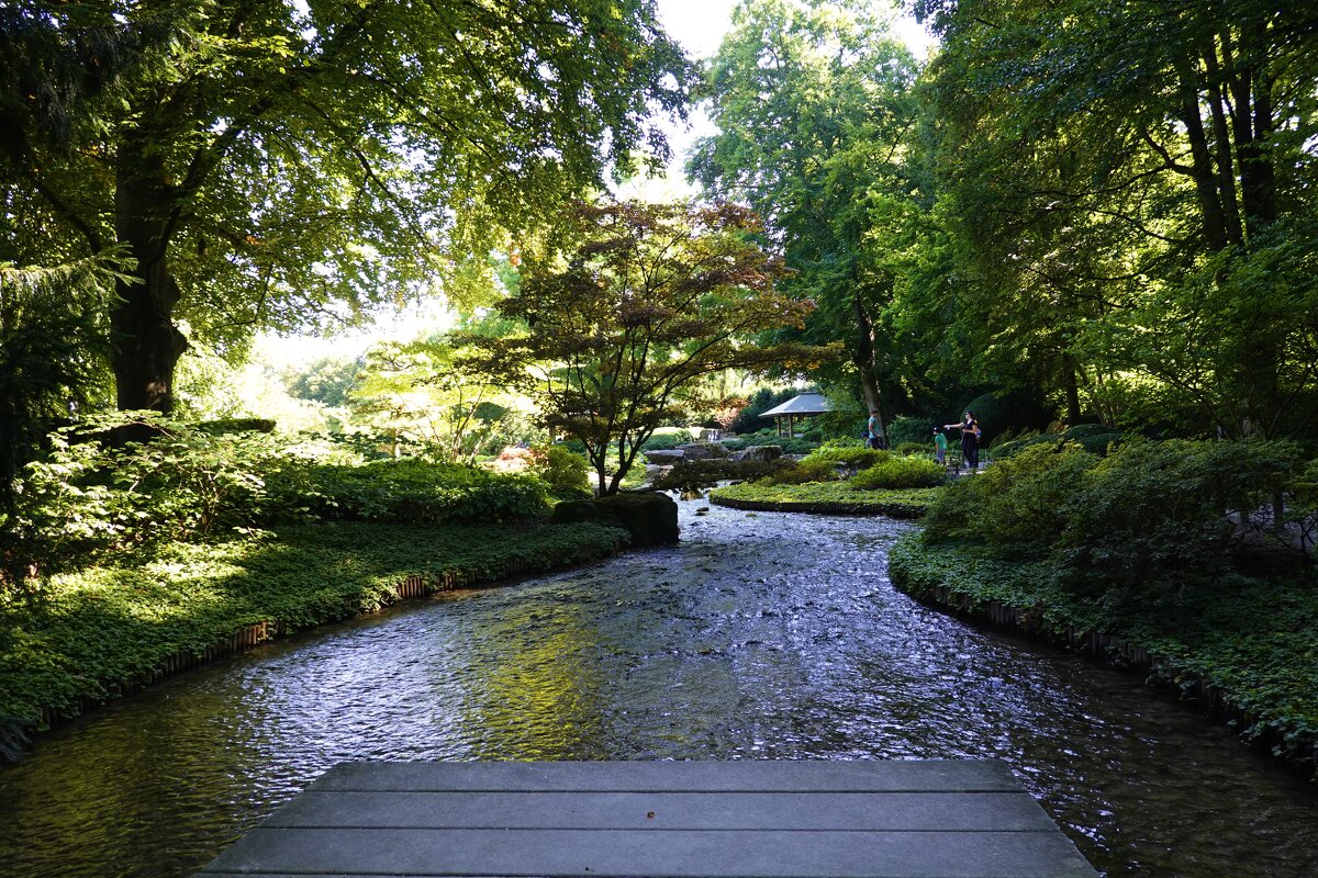 Японский уголок в ботаническом саду Аугсбурга... - Galina Dzubina