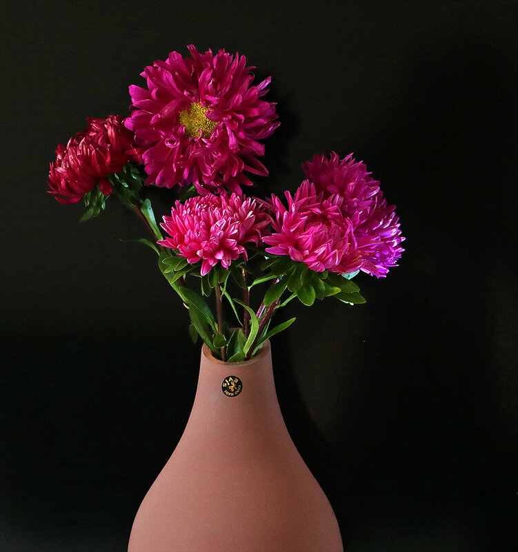 Астры - сентябрьские цветы - Светлана 