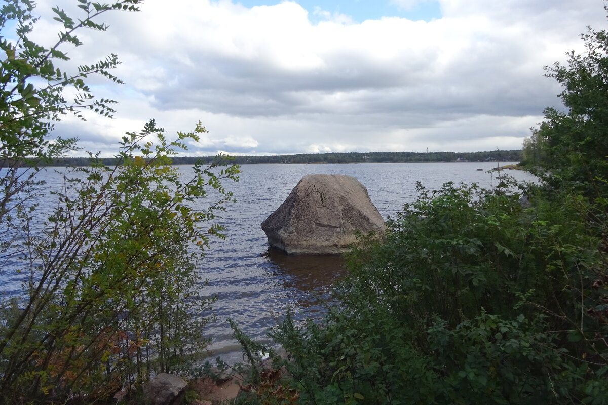 Осень в Монрепо - Татьяна 