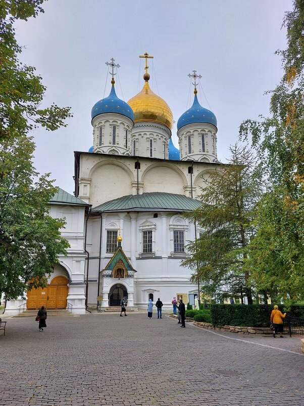 Новоспасский ставропигиальный мужской монастырь - Константин Анисимов