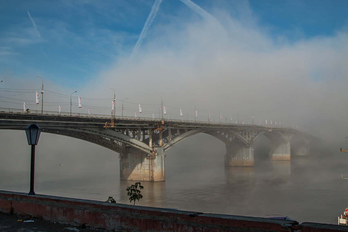 Мост в тумане - Татьяна Панчешная