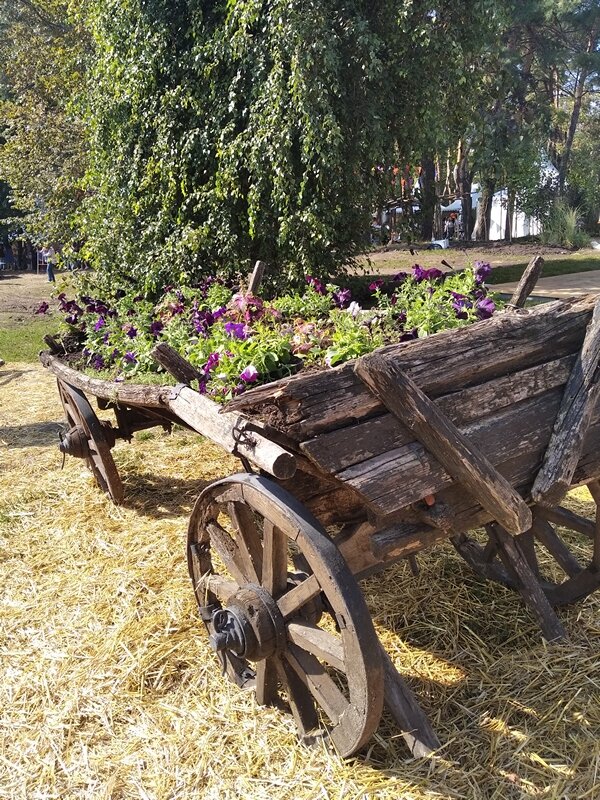 клумба- телега - Сеня Белгородский