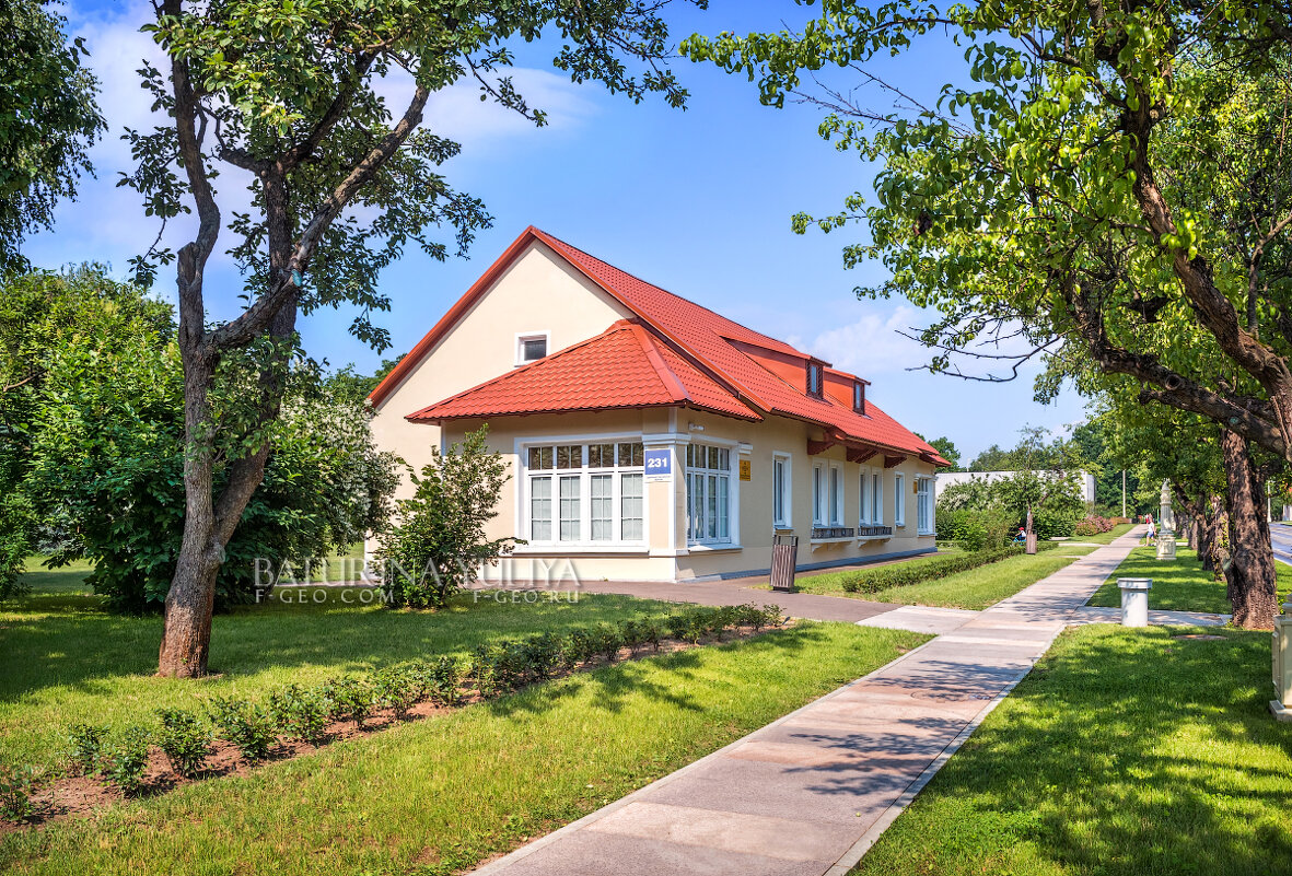 Дом с красной крышей - Юлия Батурина