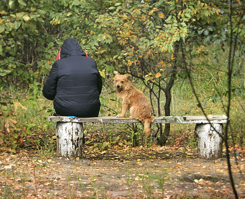 *** - Лера 