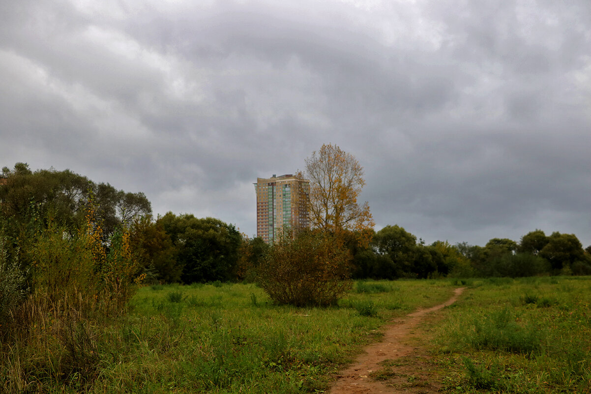 Хмурая осень - Светлана 