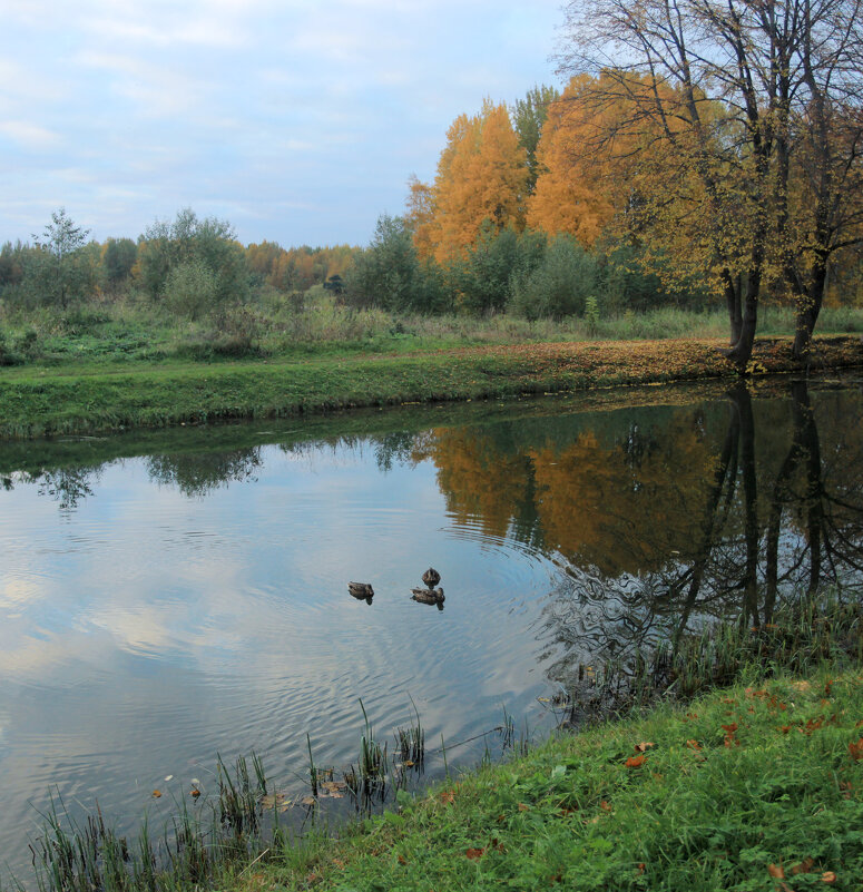 В парке - Сергей Григорьев