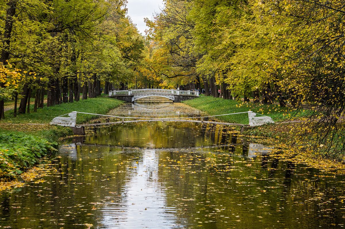 Осенний парк - Ирина Соловьёва