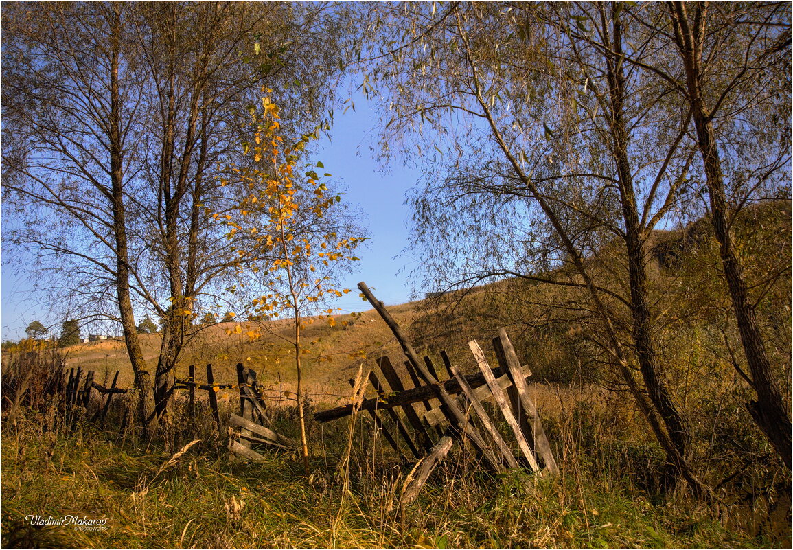 "Осень у ветхой ограды"© - Владимир Макаров