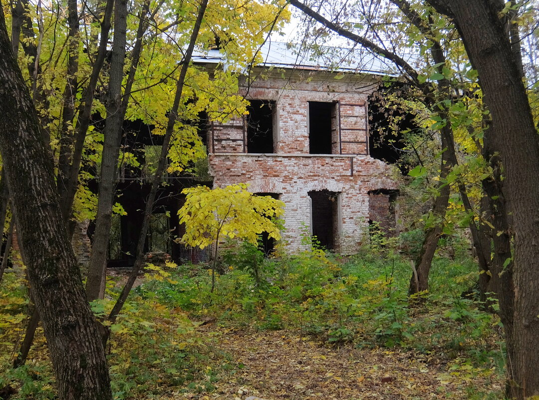 Руины бывшей померанцевой оранжереи в усадьбе. - Люба 