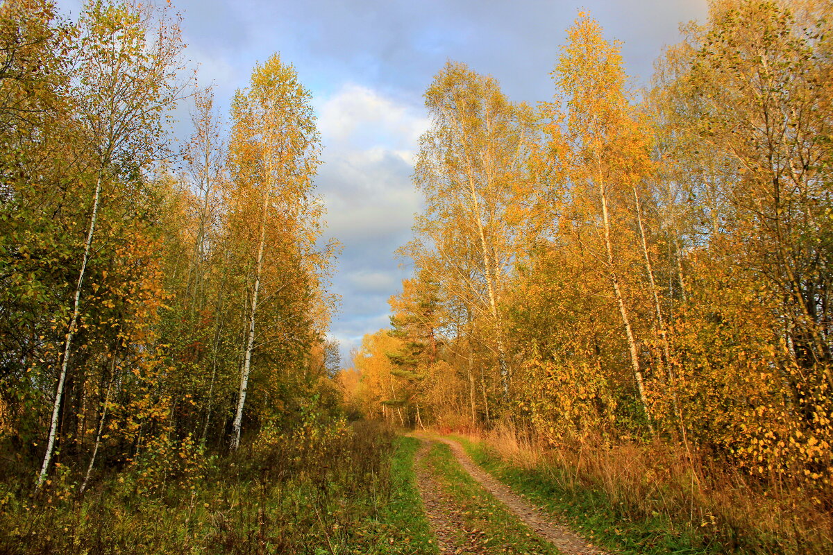 Осень - Сергей 