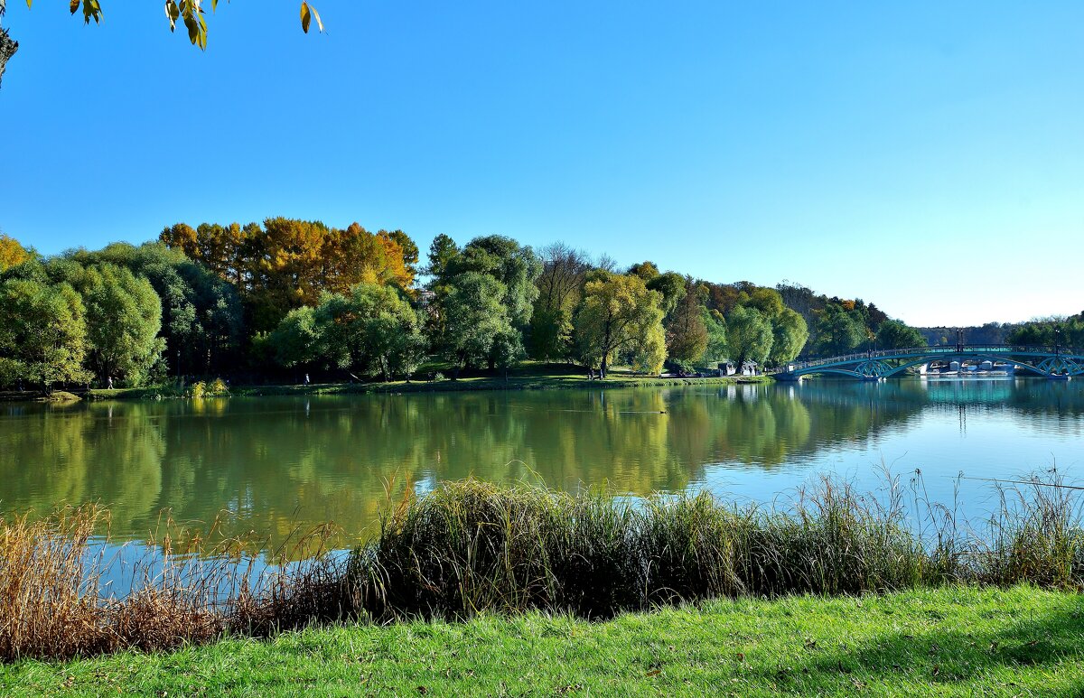 ОСЕНЬ В ЦАРИЦЫНО - АЛЕКСАНДР 