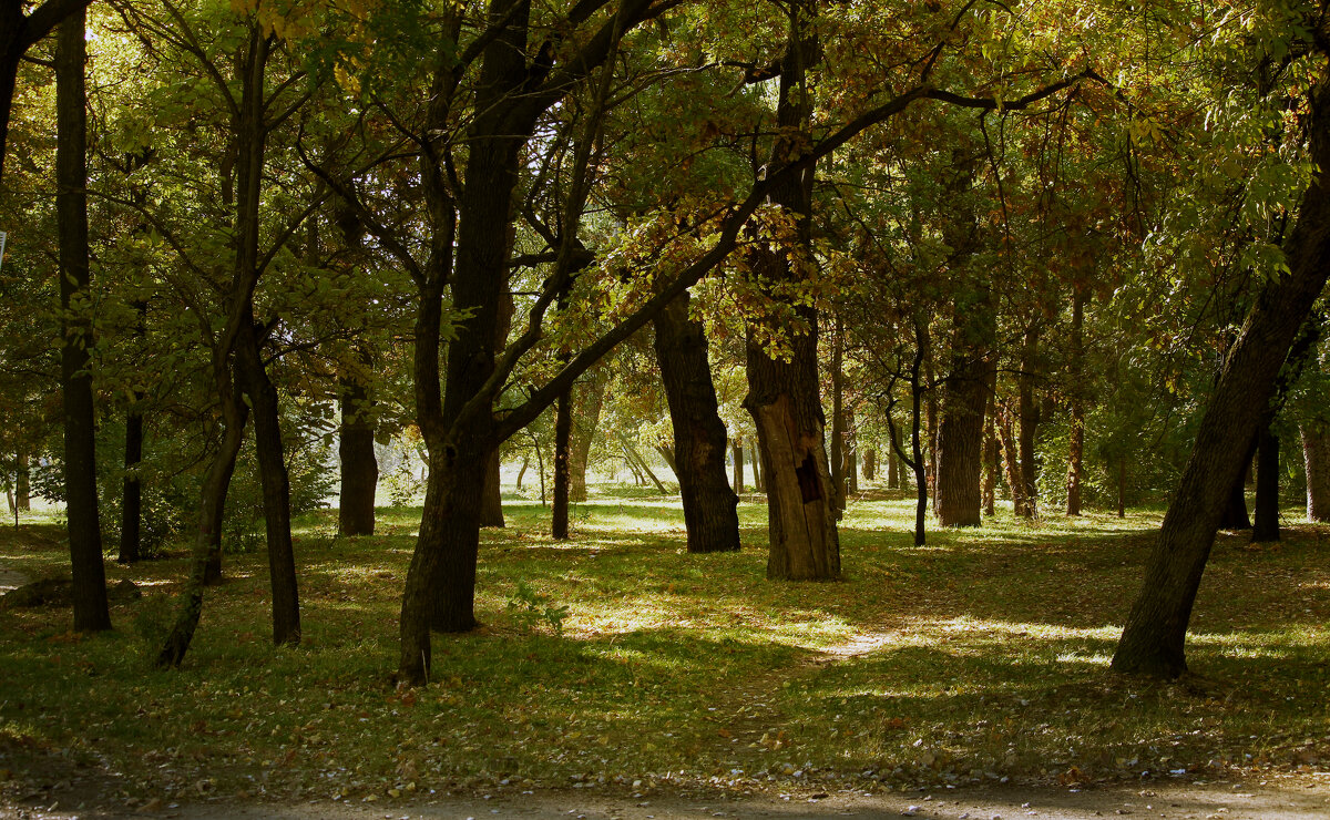 Осень в парке. - barsuk lesnoi