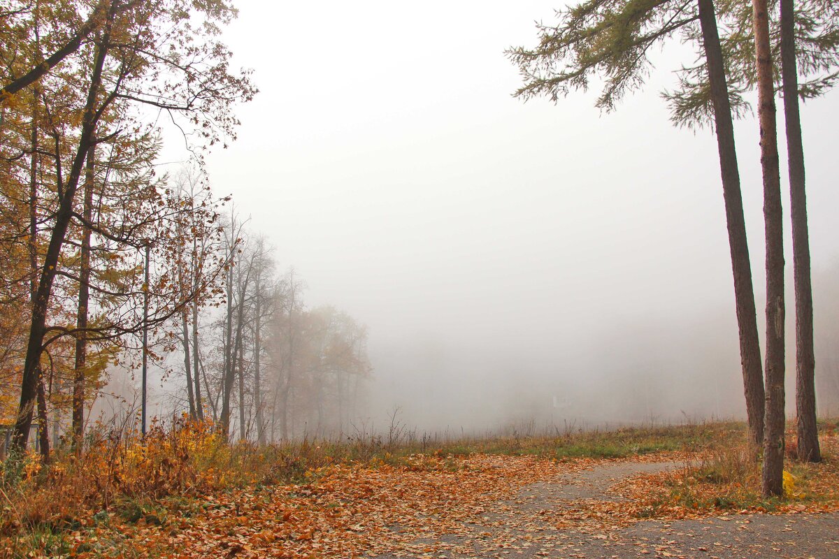 Осенний туман - Nina Karyuk