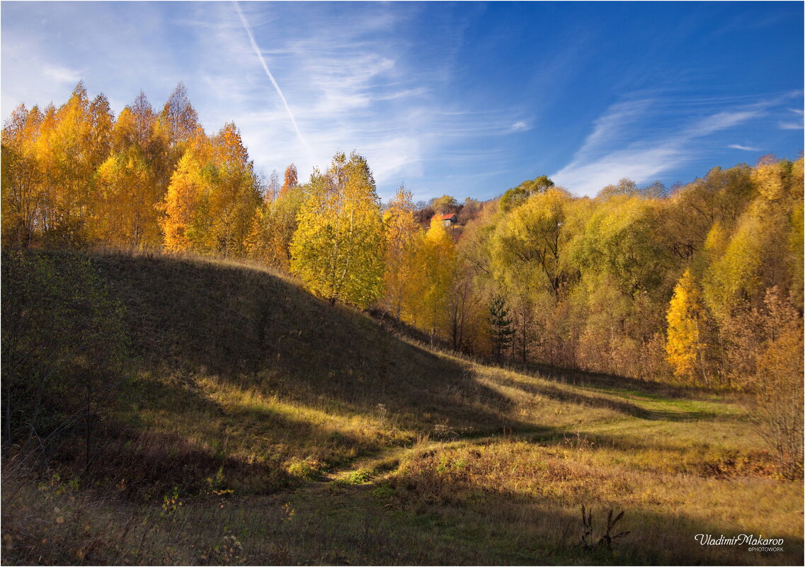 "Мягкая золотая осень"© - Владимир Макаров