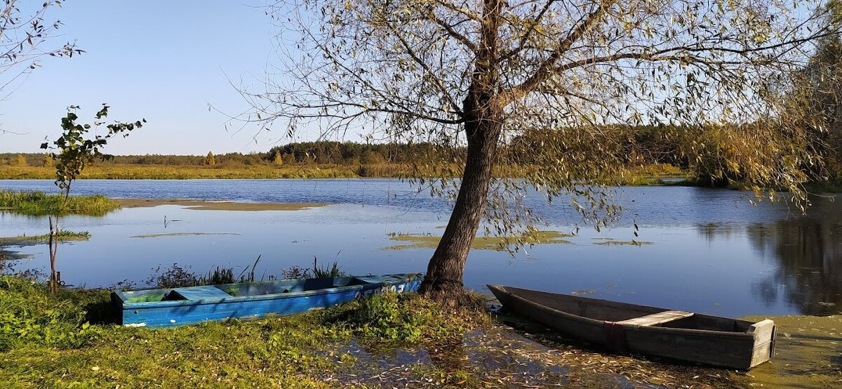 Осень на реке - Надежда Буранова 