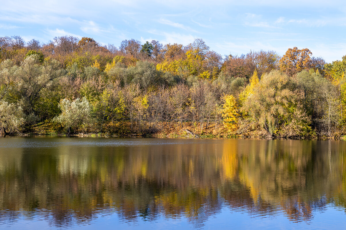 autumn trees - Zinovi Seniak